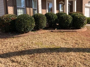 Bush Trimming by Marcus Calhoun for Alfye G. in Stonecrest, GA