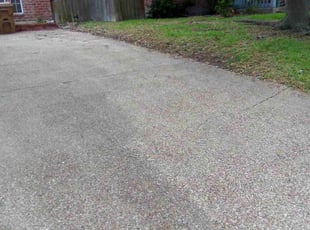 Nilza L.'s Leaf Removal service result