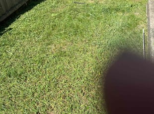 Cleanups by Rachel Lewis for Ney T. in Glen Burnie, MD