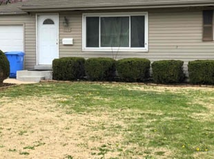Joseph B.'s Bush Trimming service result