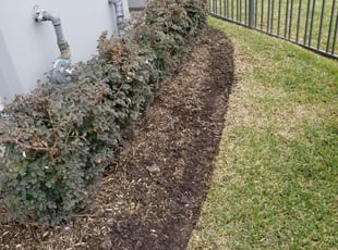 Weeding by Louis Leneir for Jeffrey S. in Houston, TX