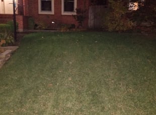 Cleanups by Robert Ballinger for Regina F. in St. Louis, MO