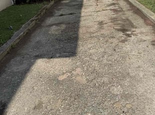 Jodi G.'s Leaf Removal service result