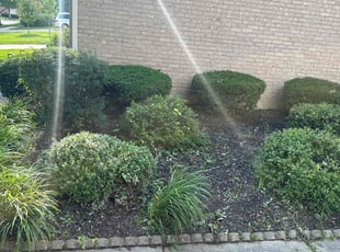 Cleanups by Luis Contreras for He D. in Carmel, IN