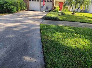Steven S.'s Lawn Care service result