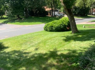 Sue N.'s Lawn Care service result
