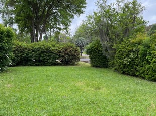 Bush Trimming by Jay Mills for Ahmed H. in Jacksonville, FL