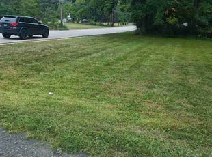 Sarah Z.'s Lawn Mowing service result