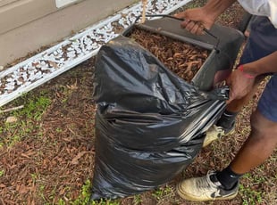 Melinda F.'s Leaf Removal service result