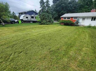 Cindy B.'s Lawn Mowing service result