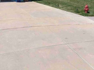 Meadow M.'s Yard Cutting service result