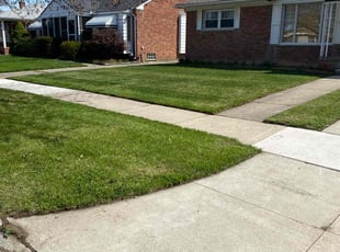 Wendy D.'s Yard Cutting service result