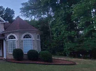 Sheri P.'s Bush Trimming service result