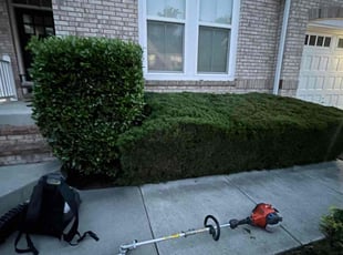 Bush Trimming by Eduardo Guzman for Bob M. in Ashburn, VA