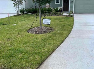 Sarah W.'s Lawn Mowing service result