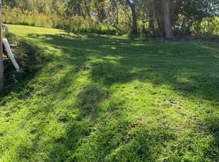 Jason H.'s Lawn Care service result