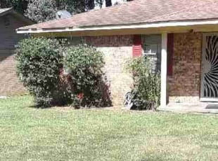 Bush Trimming by Timothy Decker for Staci F. in Jacksonville, AR