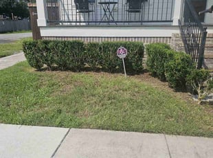 Bush Trimming by Dana Jenkins for Natalie C. in New Orleans, LA