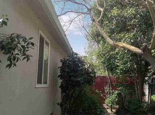 Bush Trimming by Thomas Hancock for Inutu M. in Stockton, CA