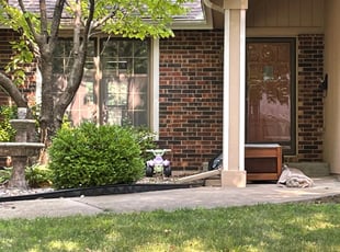 Leaf Removal by Cameron Lewis for Sam T. in Lee's Summit, MO