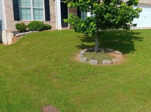 Nina H.'s Lawn Mowing service result