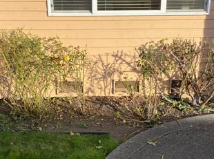 Bush Trimming by James McAfee for Mohit C. in Bothell, WA