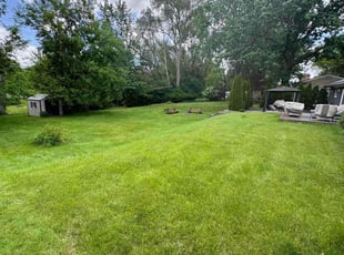 Dee D.'s Lawn Care service result