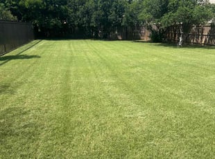 Beverly D.'s Grass Cutting service result