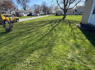 Michael P.'s Lawn Care service result