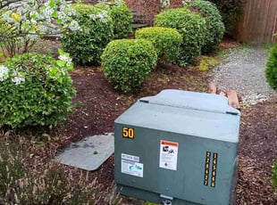 Bush Trimming by Robert Martin for Mina S. in Kenmore, WA