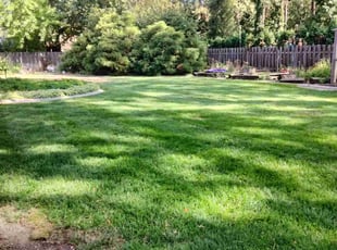 Johanna C.'s Flower Bed Weeding service result