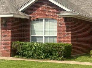 Bush Trimming by Leray Thornton for RoseAnn H. in Edmond, OK
