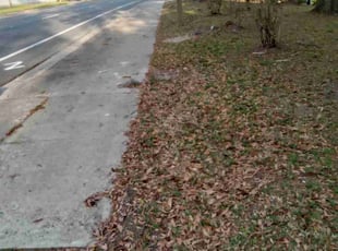 Leaf Removal by Christopher Harper for Michael A. in Gainesville, FL