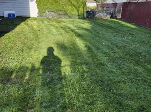 Eddie T.'s Lawn Service service result