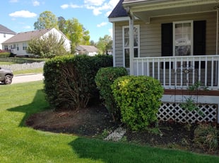 Bush Trimming by Chris Thomas for Kara H. in Chesterfield, VA