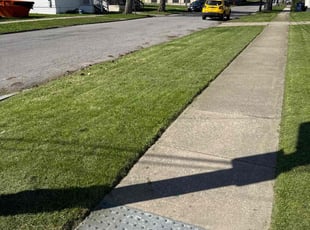 Zanbria W.'s Yard Cutting service result