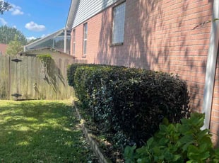 Bush Trimming by Gary Wright for Jade K. in Pensacola, FL