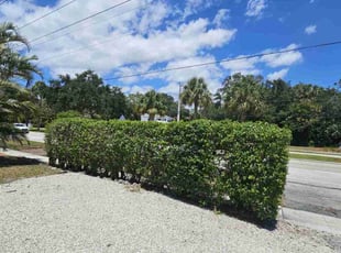 Bush Trimming by Rick Buricca for Nina M. in Boca Raton, FL