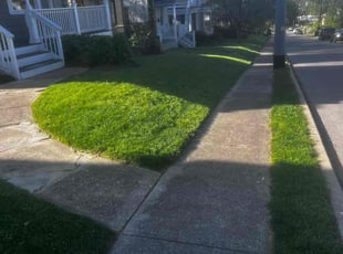Noel s.'s Lawn Service service result