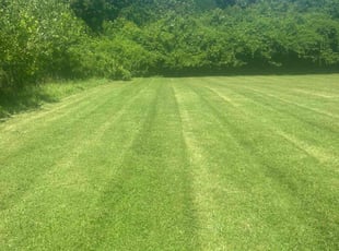 Rhiannon O.'s Lawn Care service result