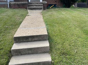 LaTosha G.'s Grass Cutting service result