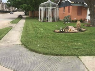 Martin P.'s Lawn Care service result