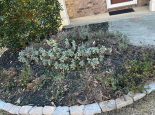 Leaf Removal by Heath Ivester for Kris L. in Acworth, GA