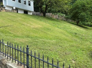 Bruce G.'s Lawn Mowing Service service result