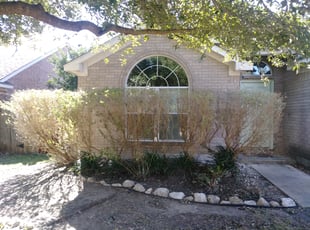 Bush Trimming by Derek Schoenfeld for Carlos T. in San Antonio, TX