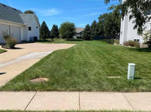 Johanna P.'s Lawn Care service result