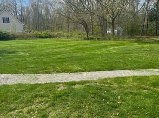 Lance T.'s Lawn Care service result