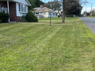 Elaine J.'s Lawn Service service result