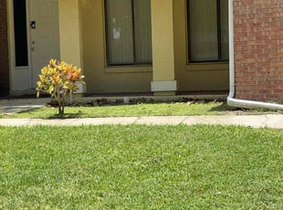 Christine S.'s Yard Cutting service result