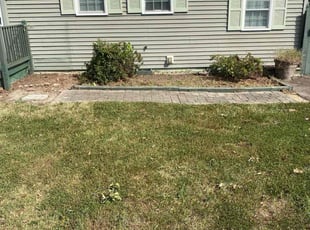 Bush Trimming by Nathaniel Howard for iain b. in Richmond, VA